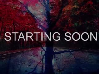 I'm Miss D...Shows:  Mon Tue Wed Thru Fri Sat & Sun.. Day off  here or there:)