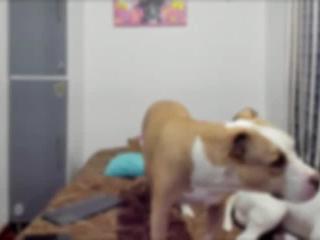 Stephany🌹/ Independent model