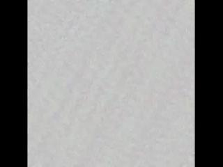 Carla independent model  ★ ☆