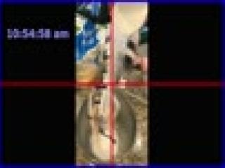 Sepffish_M123ref