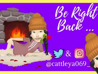 ▓▒░░ ❀✿❁Cattleya❁✿❀, you can tell me Leya too. ◕ ‿‿ ◕ ░░▒▓